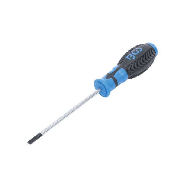 ΚΑΤΣΑΒΙΔΙ ΜΕ ΜΥΤΗ ΙΣΙΑ 5.5X125MM